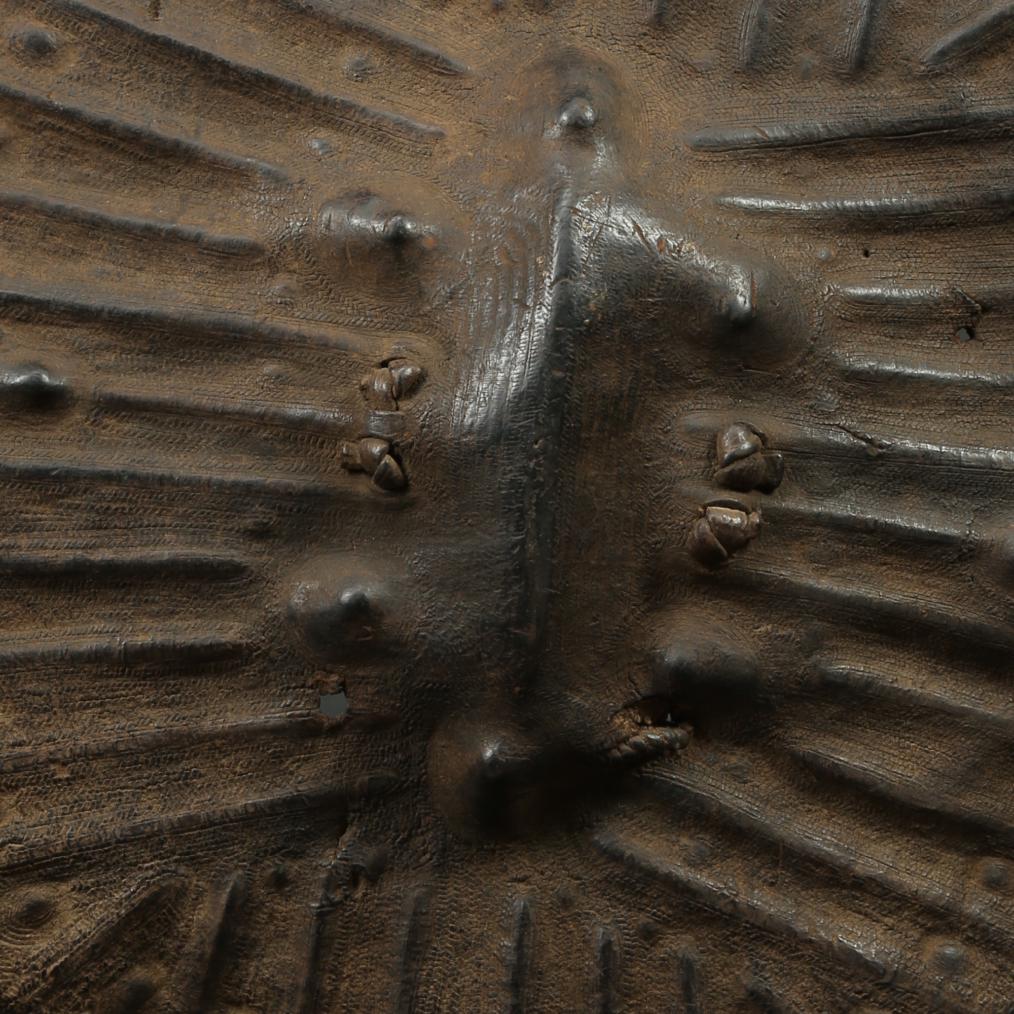 AF620: Ethiopian Shield