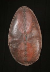 #AF209: 19th C Masaai / Massai warriors shield