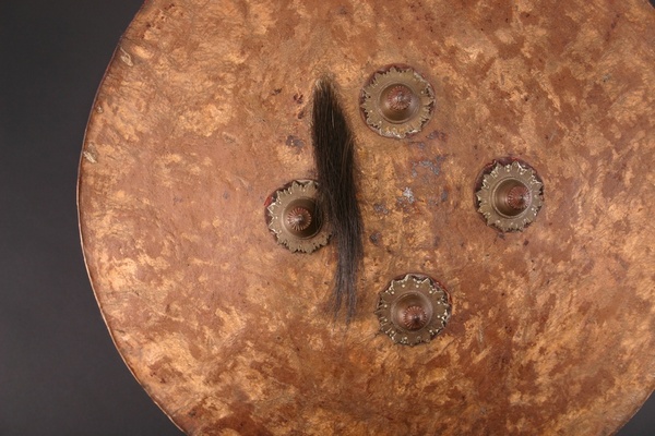 AS427: Dhal Shield