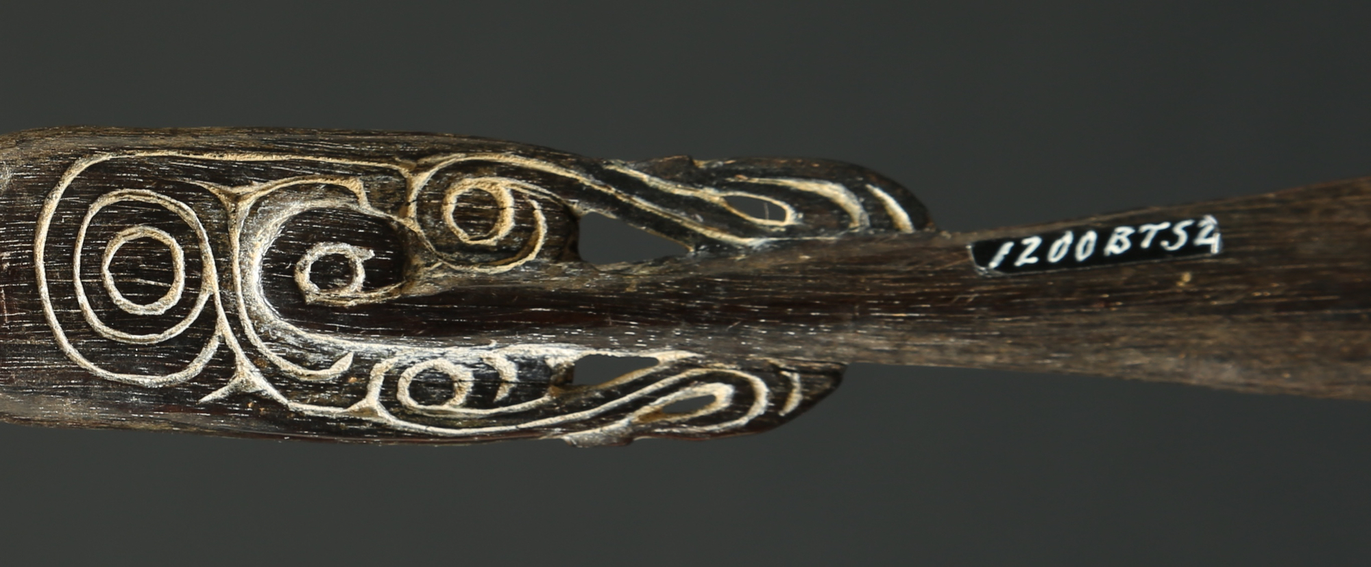 OC542: Massim Lime Spatula