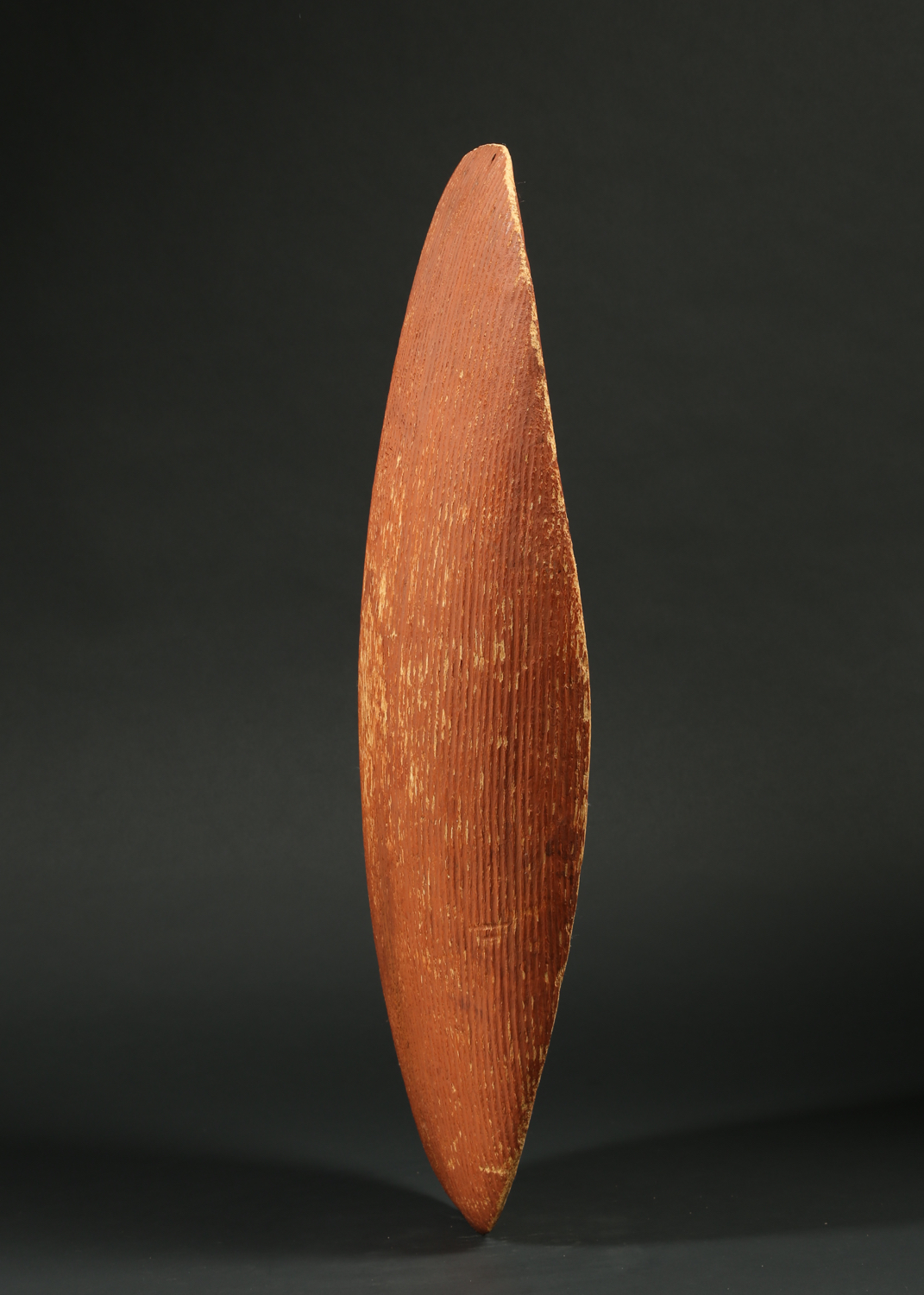 OC552: Aboriginal Shield 