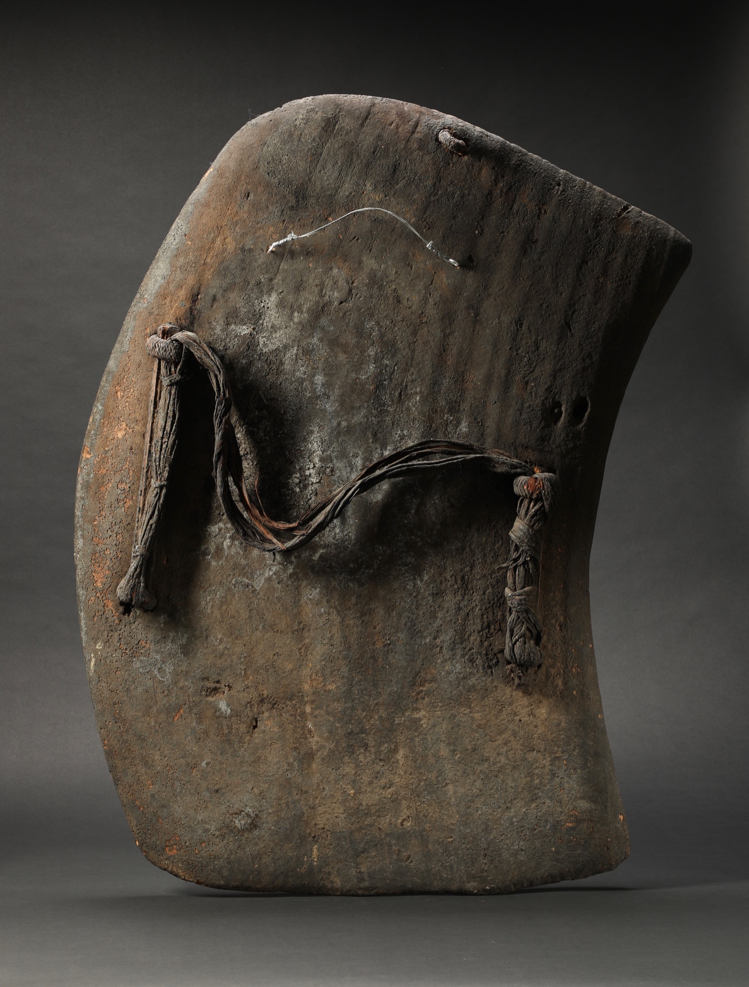 OC585: Lumi War Shield