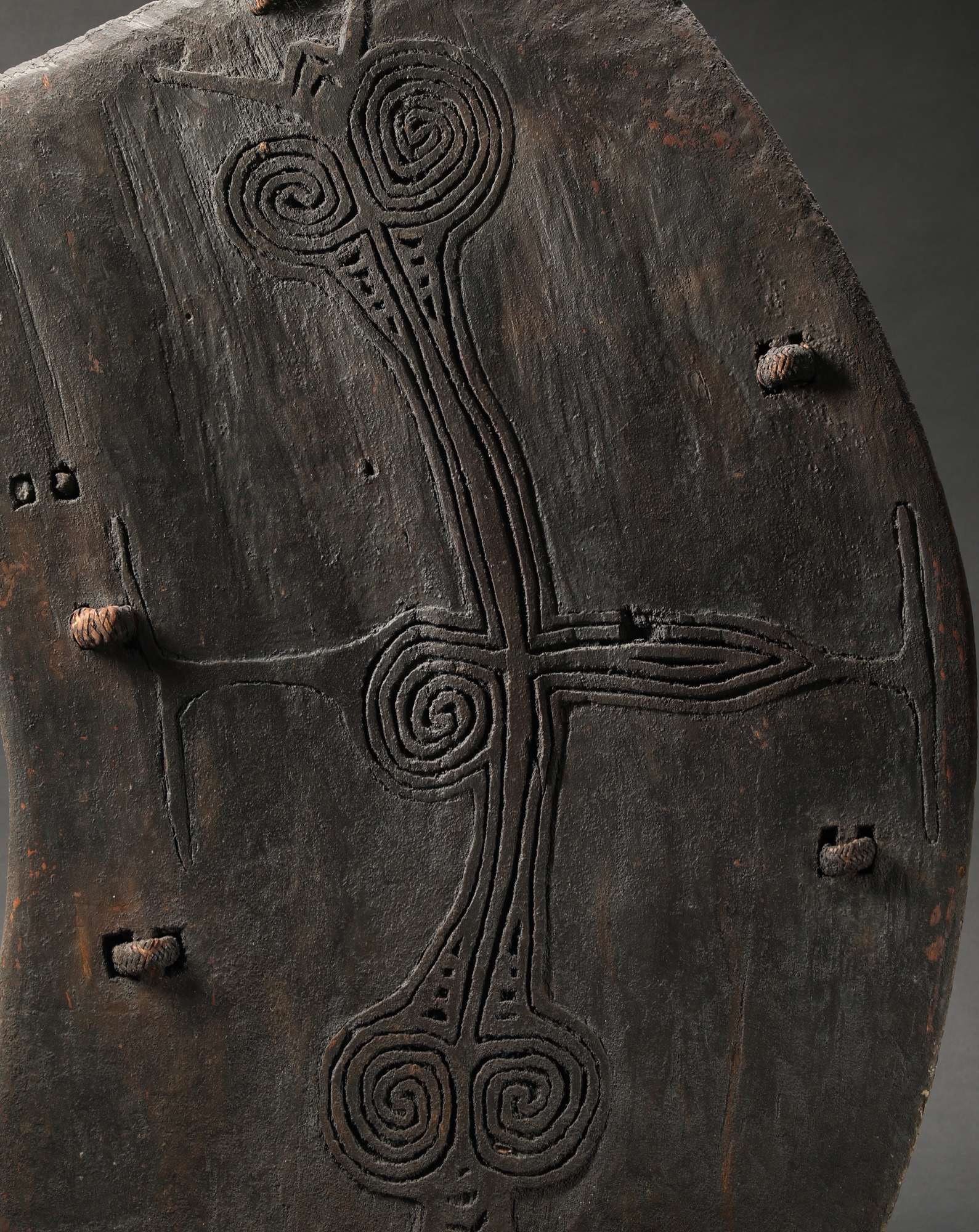 OC585: Lumi War Shield