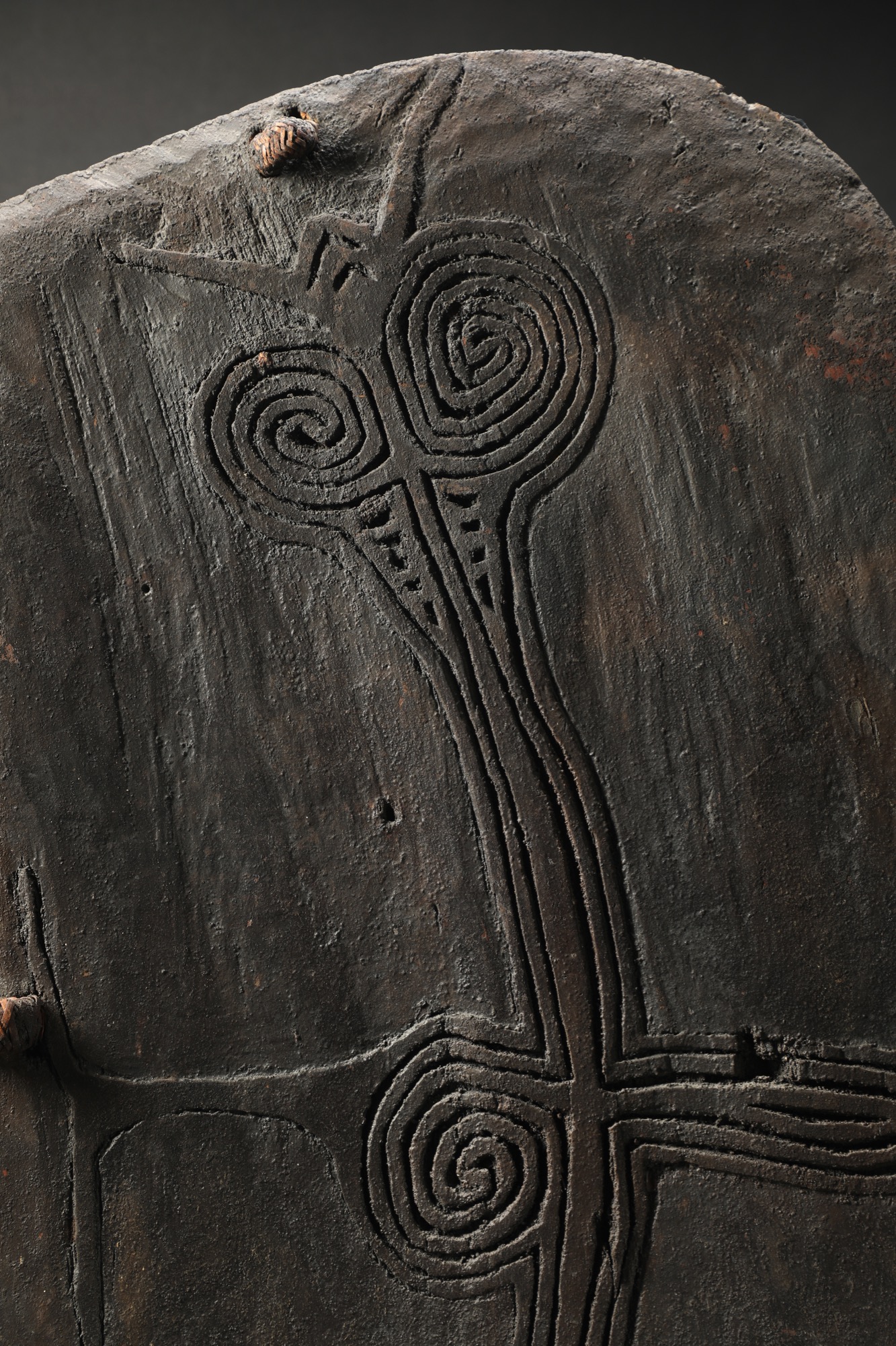 OC585: Lumi War Shield