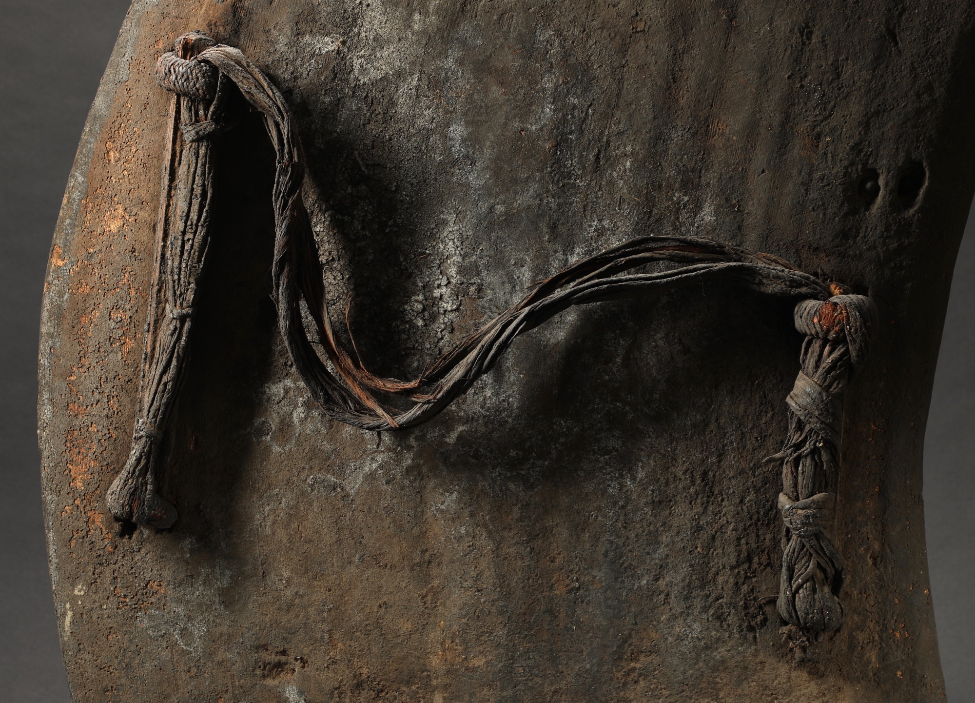 OC585: Lumi War Shield