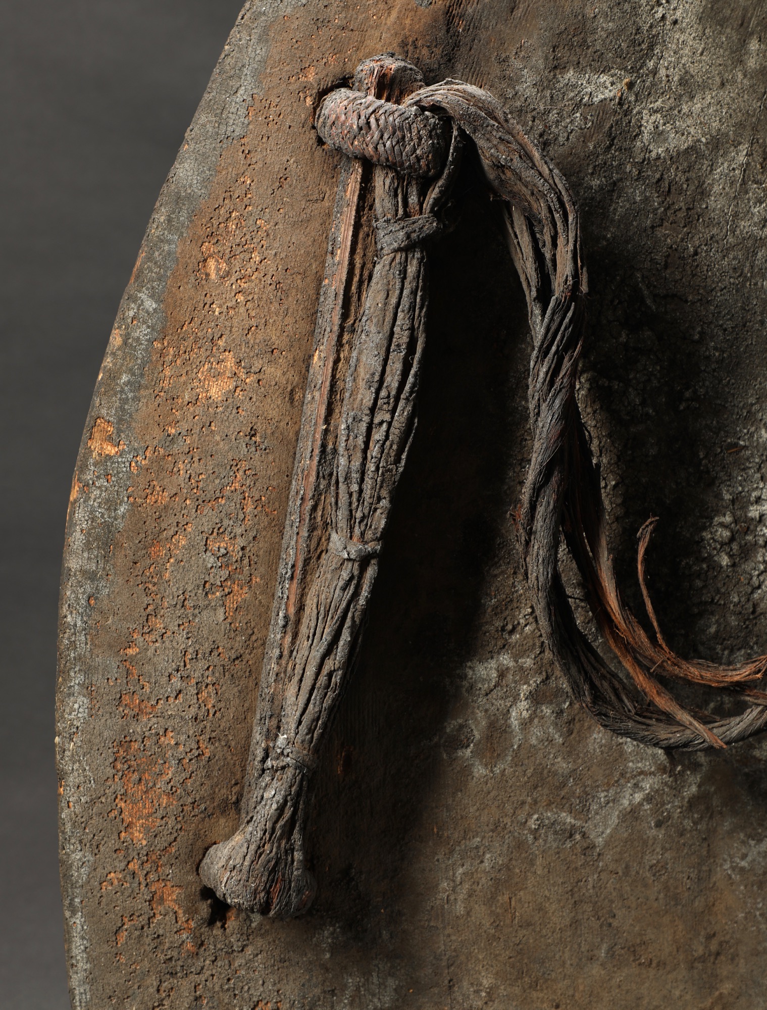 OC585: Lumi War Shield