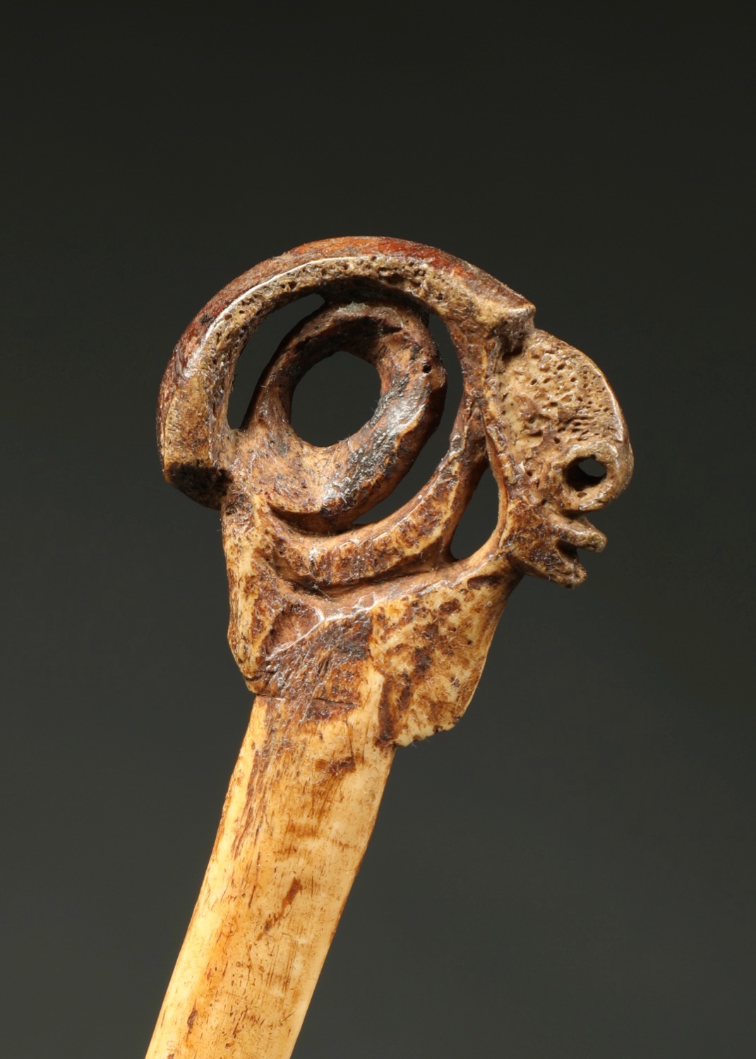 OC598: Sepik Lime container