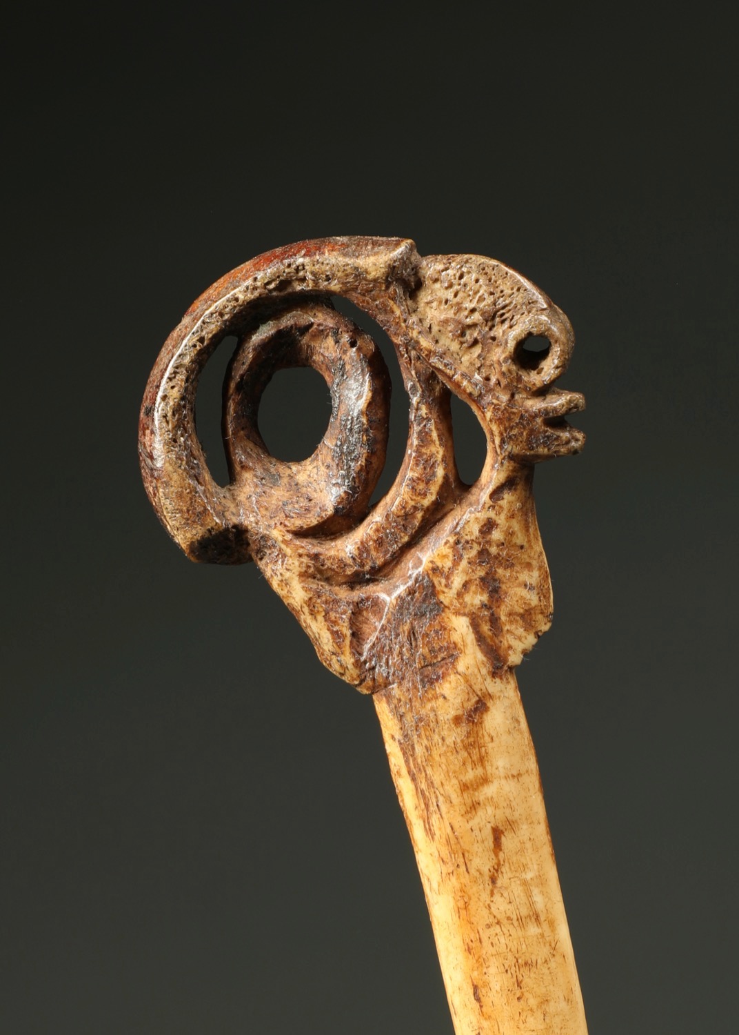 OC598: Sepik Lime container