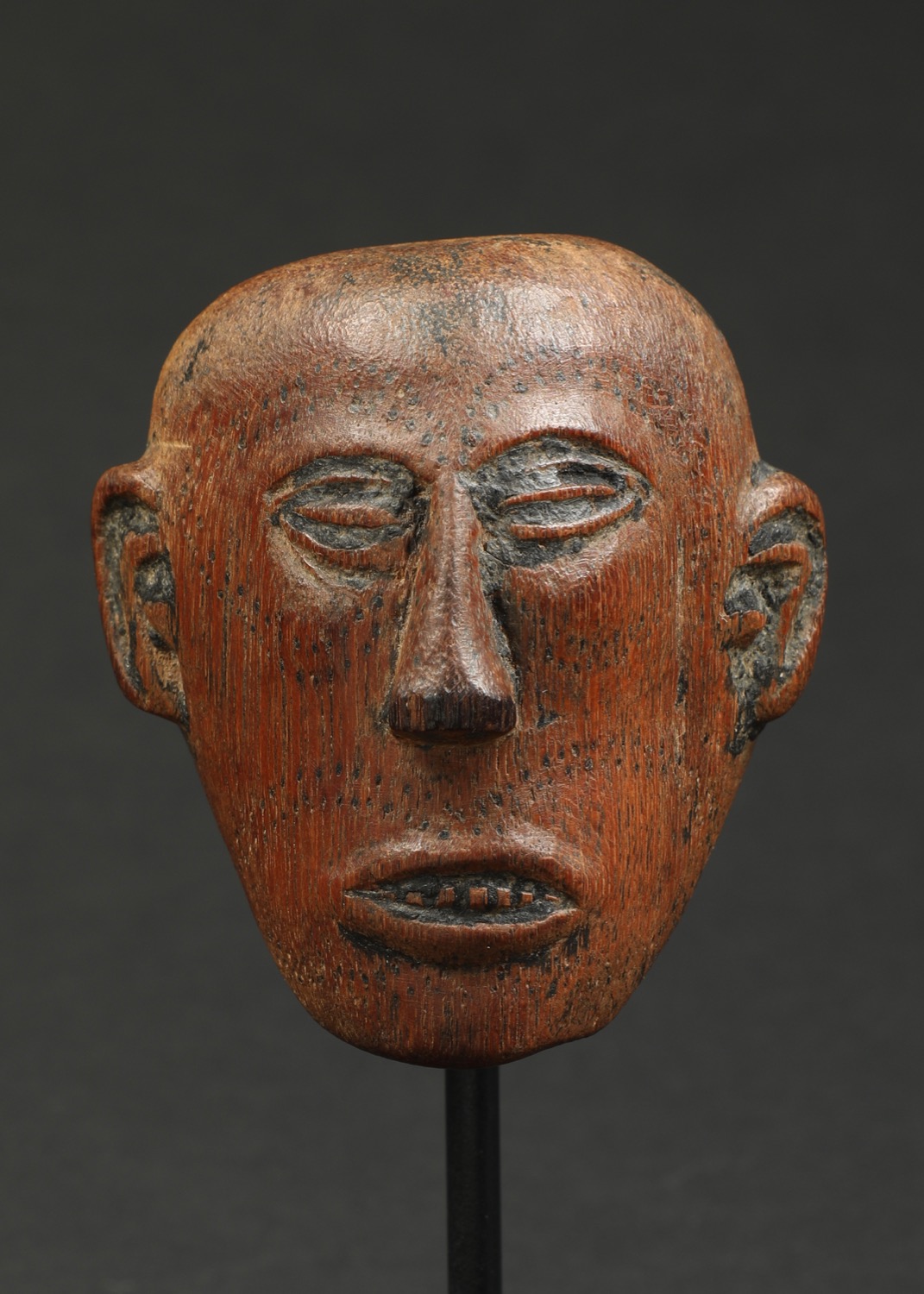 AS615: Naga Chest Ornament